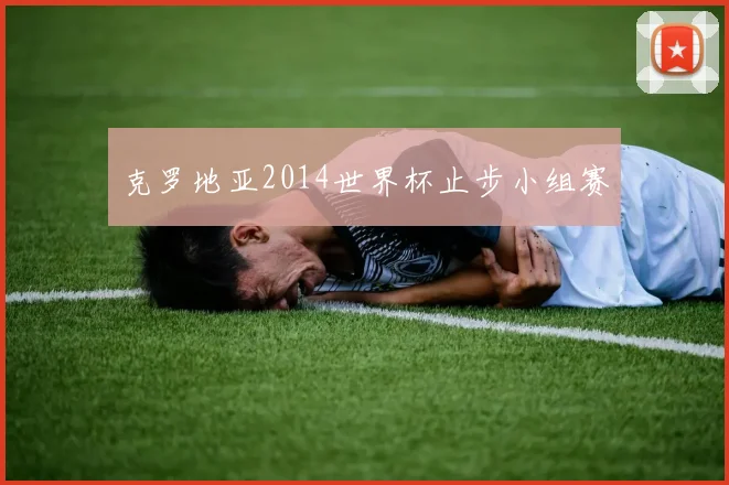 克罗地亚2014世界杯止步小组赛