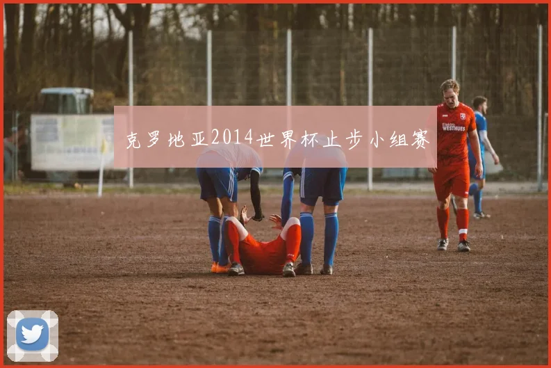 克罗地亚2014世界杯止步小组赛