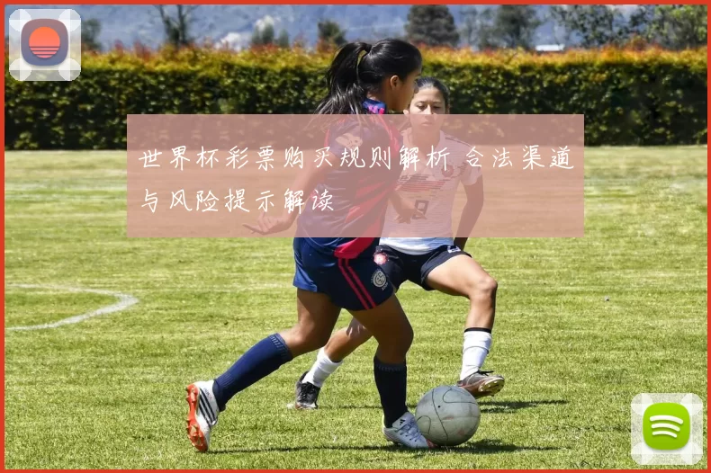 世界杯彩票购买规则解析 合法渠道与风险提示解读